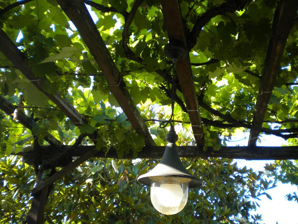 Marelmy Villa Mouresi Ngoại thất bức ảnh